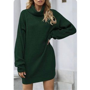 NWOT Pink Queen Green Loose Turtleneck Oversize Long Pullover Sweater Dress